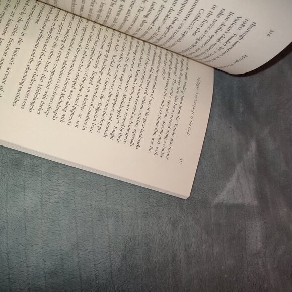 Book Michelangelo and the Pope's Ceiling Ross King New York Times Bestseller - Picture 4 of 16